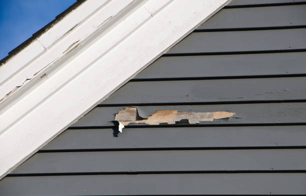 Best Shed Removal  in Culloden, WV